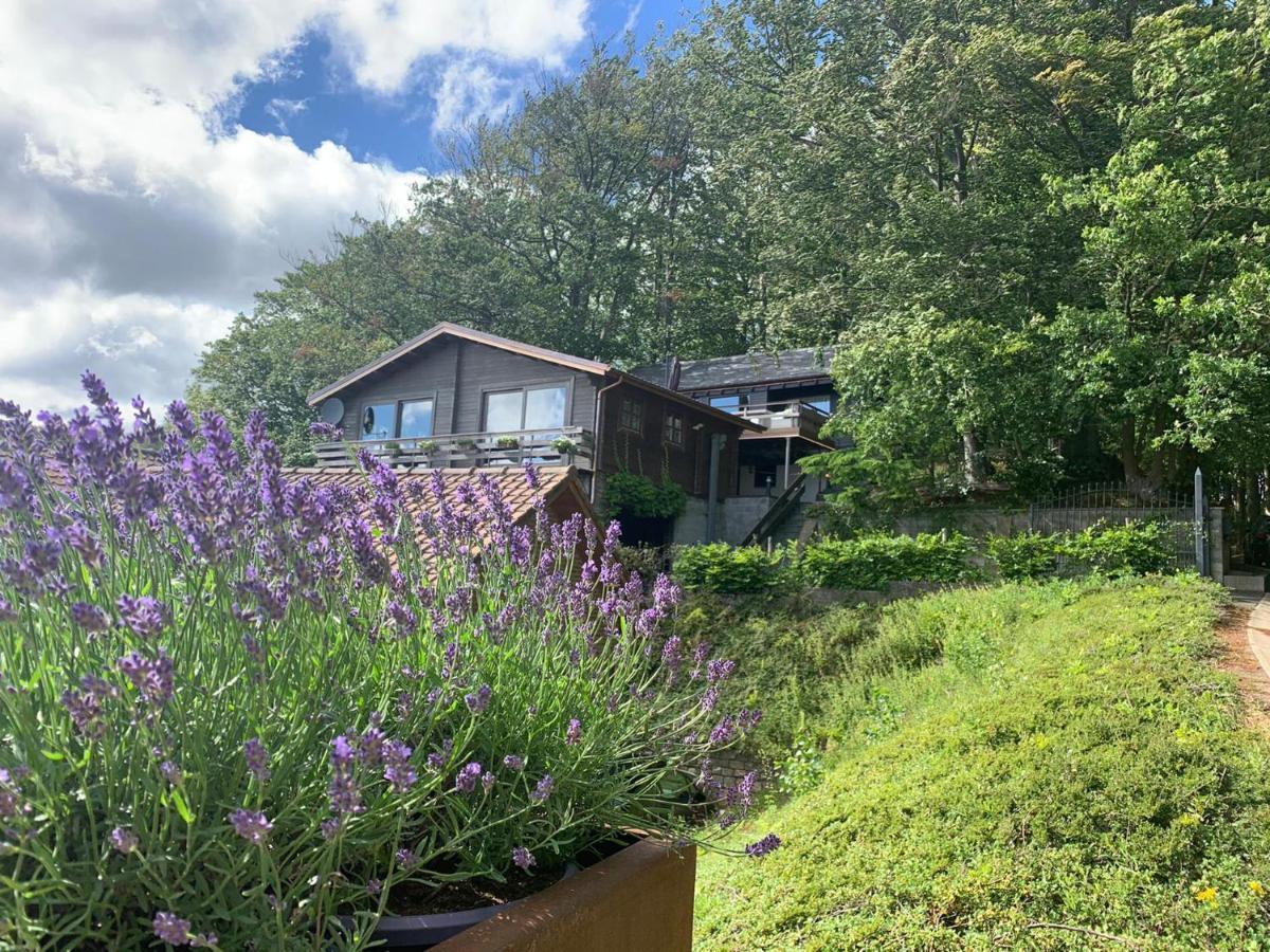 Chalet De La Sabliere Amougies Luaran gambar